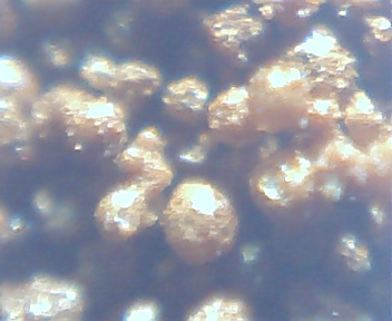 Cómo hacer un microscopio casero (Fotos Propias) Cómo hacer un microscopio casero (Fotos Propias)