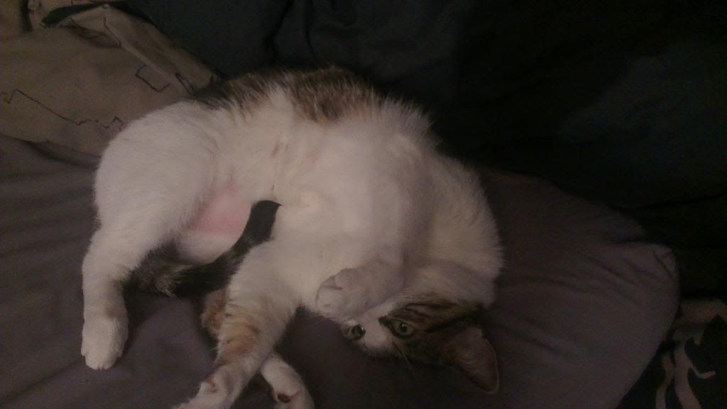 IMAG0448_zps8c97098c.jpg