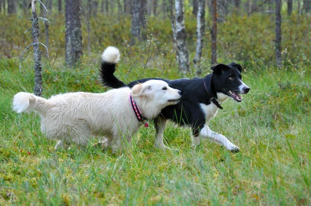 photo DSC_0790_zps0e4bf1a5.jpg