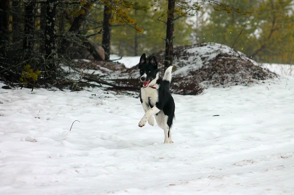 photo IMG_0086_zpsa6bde3f0.jpg