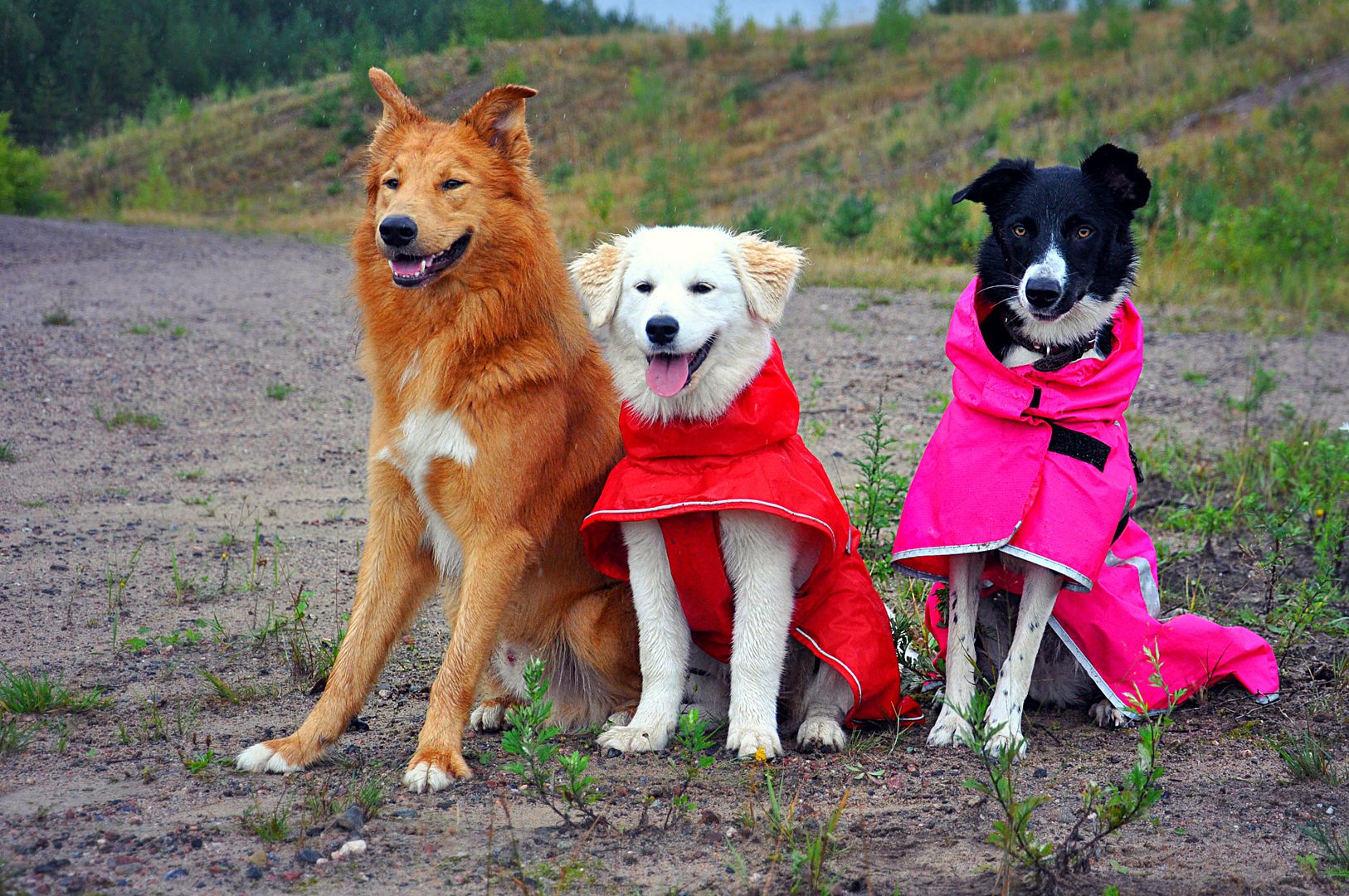 photo DSC_0428_zps1c6b0bf1.jpg