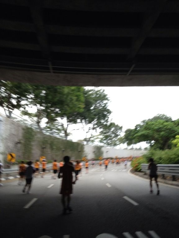  photo BB120973-AAB9-4D05-A49C-203CEC790CCF-18807-000010A491DC7ECE_zpscd8703db.jpg