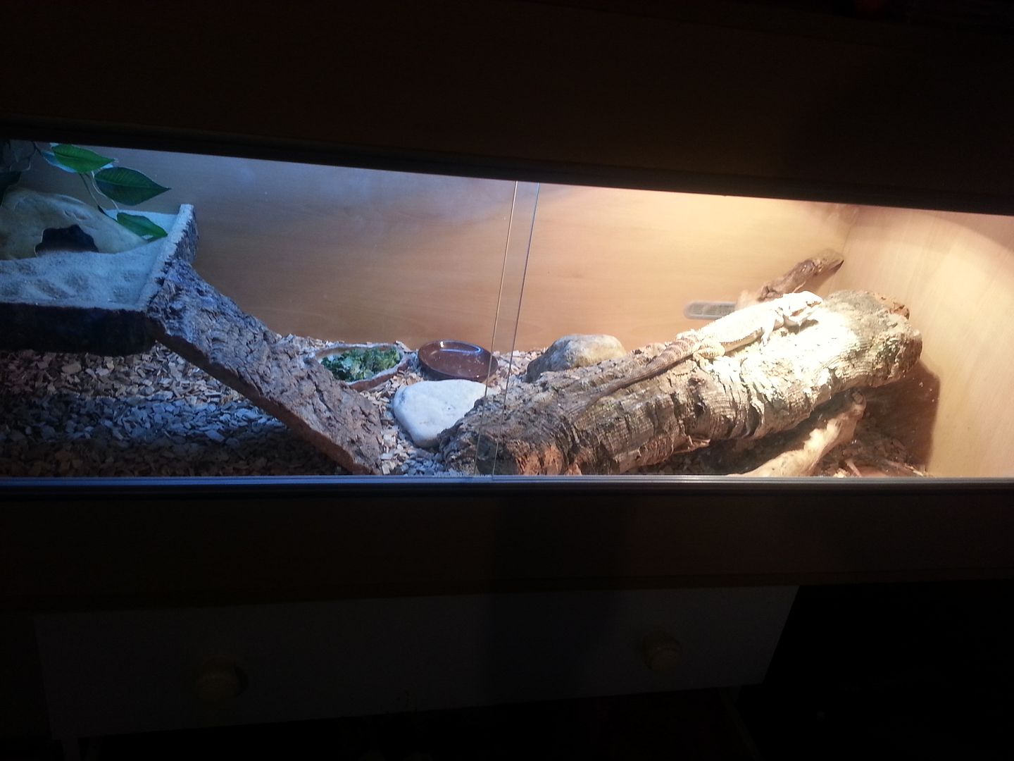 20121203_182710.jpg