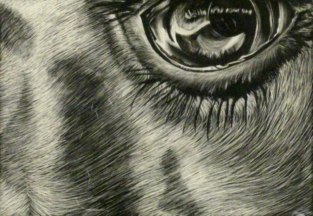 Scratchboard Eye Pictures, Images & Photos Photobucket