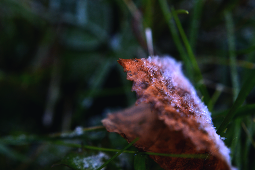 photo DSC_0049_zpsktwhodq1.png