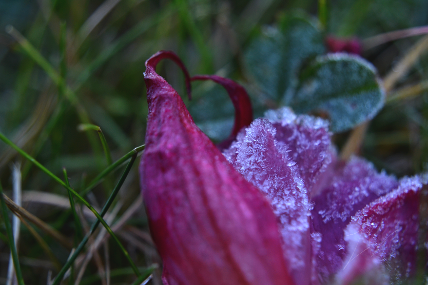 photo DSC_0094_zpsh0cpznww.png