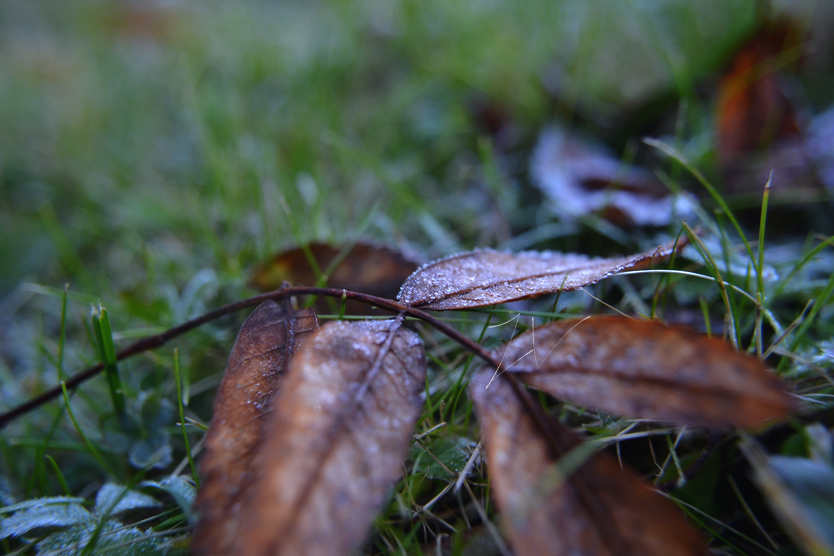 photo DSC_0106_zpsy5qdndmu.png