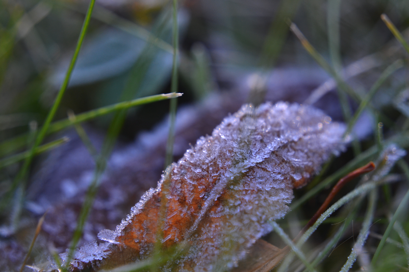 photo DSC_0110_zpsqoovxwbq.png