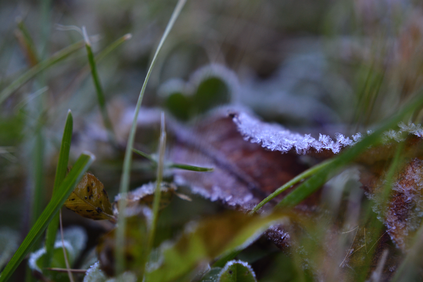 photo DSC_0114_zps3tjdxurq.png