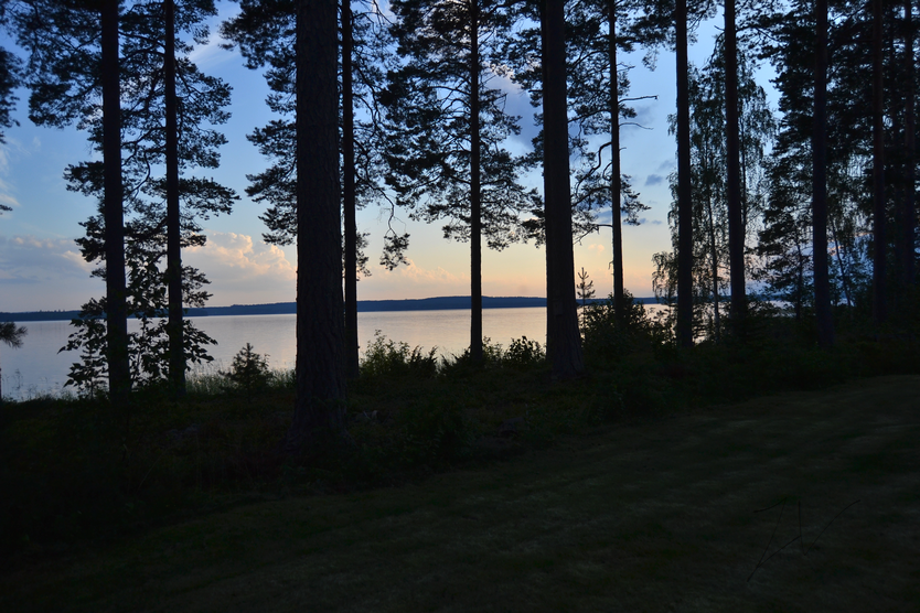 photo DSC_0690_zpsaqegqpiv.png