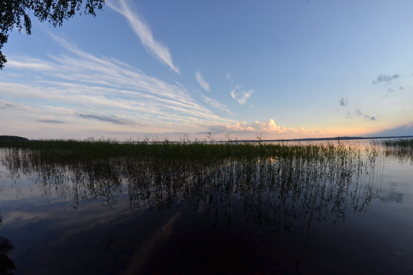 photo DSC_0741_zpsmnuktr88.png
