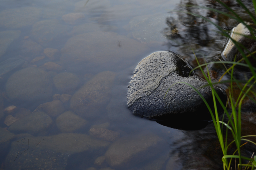 photo DSC_0772_zpschbxggva.png