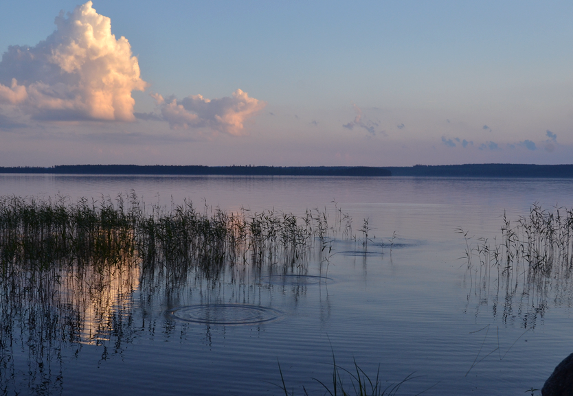 photo DSC_0800_zpsqbjhs04u.png