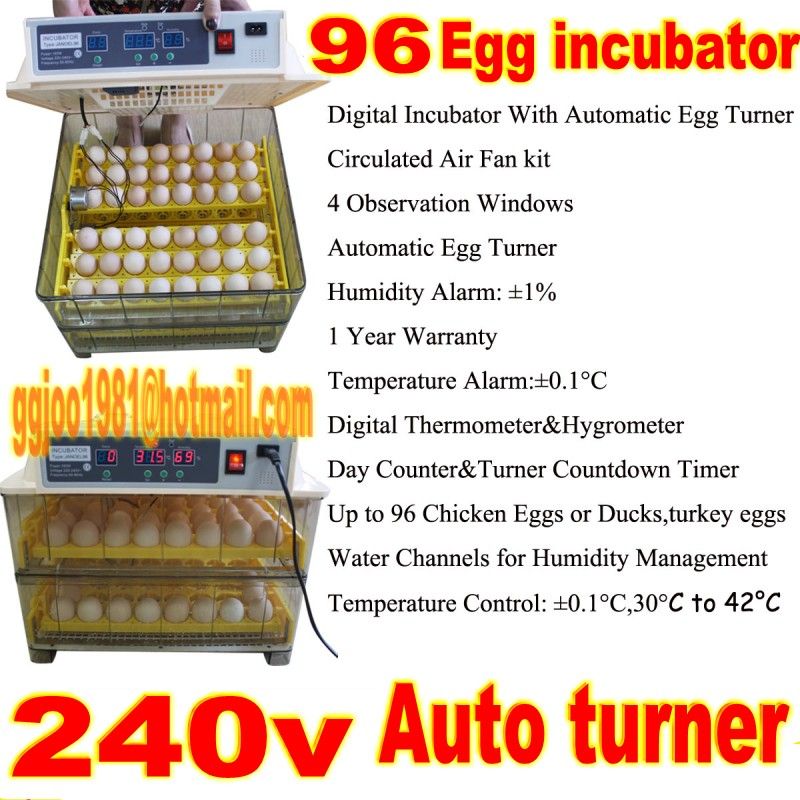 Duck Egg Incubation Stages