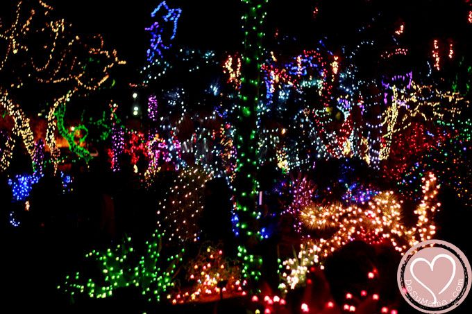 vegas lights ethel m chocolate s holiday cactus garden vegas lights ethel m chocolate s holiday cactus garden