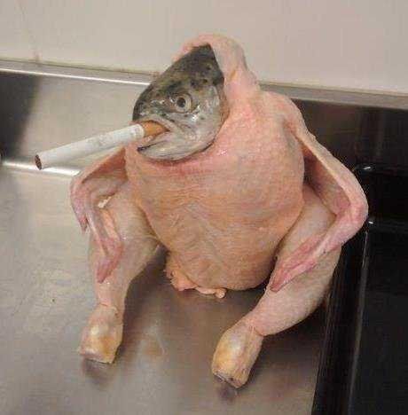 chickfishsmoking_zpsf2105f27.jpg