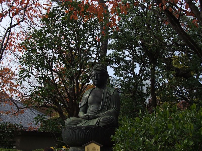 DSCF1852.jpg