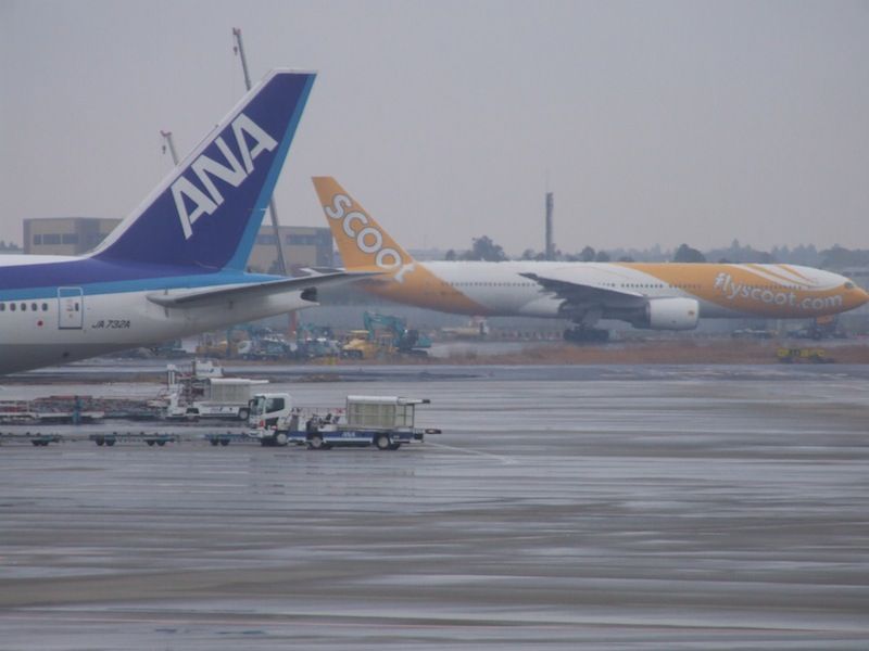 DSCF2097.jpg