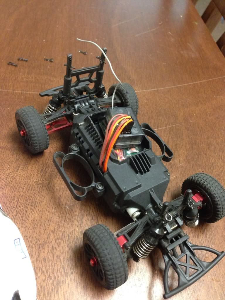 team losi racing micro rally